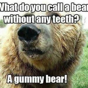 Meet your Posher, Scott